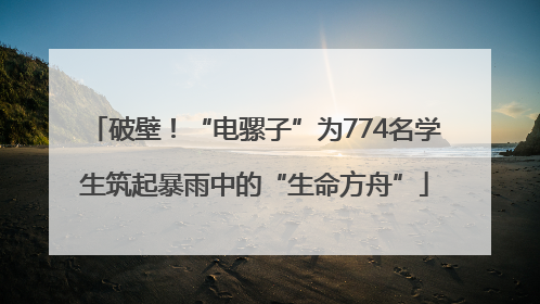 破壁！“电骡子”为774名学生筑起暴雨中的“生命方舟”