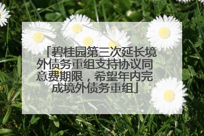 碧桂园第三次延长境外债务重组支持协议同意费期限，希望年内完成境外债务重组