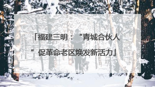 福建三明：“青城合伙人”促革命老区焕发新活力