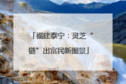 福建泰宁：灵芝“链”出富民新图景