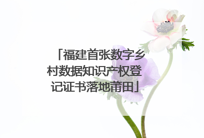 福建首张数字乡村数据知识产权登记证书落地莆田