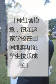 种红薯摸鱼，镇江这家学校在田间池畔见证学生快乐成长