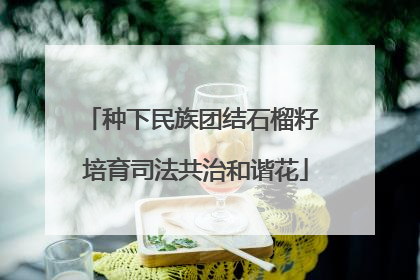 种下民族团结石榴籽 培育司法共治和谐花