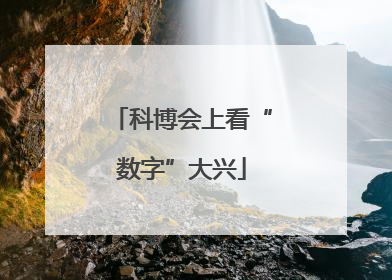 科博会上看“数字”大兴