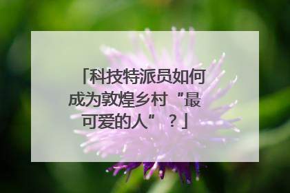 科技特派员如何成为敦煌乡村“最可爱的人”？
