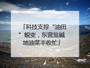 科技支撑“油田”蜕变，东营盐碱地油菜丰收忙