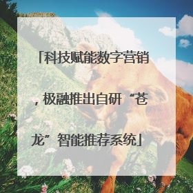 科技赋能数字营销，极融推出自研“苍龙”智能推荐系统