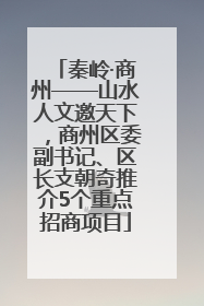 秦岭·商州——山水人文邀天下，商州区委副书记、区长支朝奇推介5个重点招商项目
