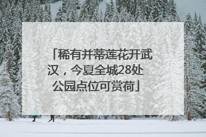 稀有并蒂莲花开武汉，今夏全城28处公园点位可赏荷