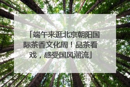 端午来逛北京朝阳国际茶香文化周！品茶看戏，感受国风潮流