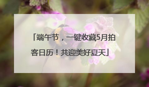 端午节，一键收藏5月拍客日历！共迎美好夏天