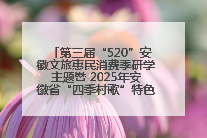 第三届“520”安徽文旅惠民消费季研学主题暨 2025年安徽省“四季村歌”特色展演燃动池州