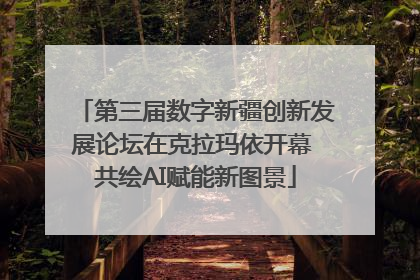 第三届数字新疆创新发展论坛在克拉玛依开幕 共绘AI赋能新图景
