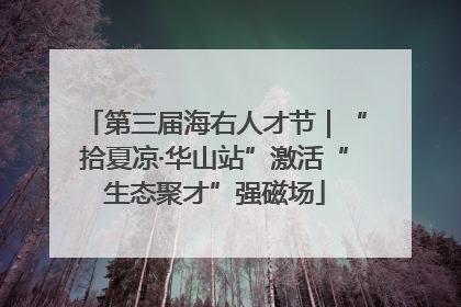 第三届海右人才节｜“拾夏凉·华山站”激活“生态聚才”强磁场