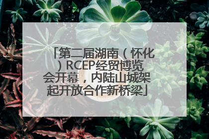 第二届湖南（怀化）RCEP经贸博览会开幕，内陆山城架起开放合作新桥梁