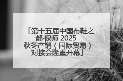 第十五届中国布鞋之都·偃师 2025 秋冬产销（国际贸易）对接会隆重开幕