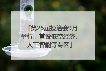 第25届投洽会9月举行，首设低空经济、人工智能等专区