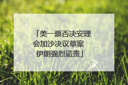 美一票否决安理会加沙决议草案 伊朗强烈谴责