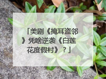 美剧《掩耳盗邻》凭啥逆袭《白莲花度假村》？