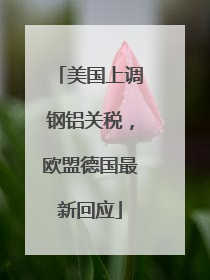 美国上调钢铝关税，欧盟德国最新回应