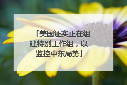 美国证实正在组建特别工作组，以监控中东局势
