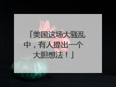 美国这场大骚乱中，有人提出一个大胆想法！