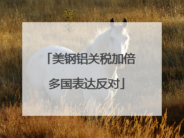 美钢铝关税加倍 多国表达反对
