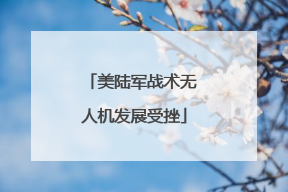 美陆军战术无人机发展受挫