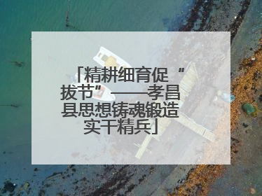精耕细育促“拔节”——孝昌县思想铸魂锻造实干精兵