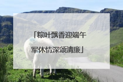 粽叶飘香迎端午 军休情深颂清廉