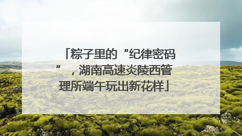 粽子里的“纪律密码”，湖南高速炎陵西管理所端午玩出新花样