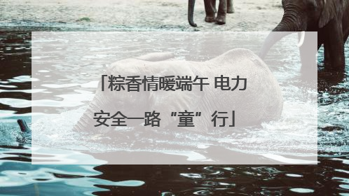 粽香情暖端午 电力安全一路“童”行