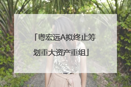 粤宏远A拟终止筹划重大资产重组