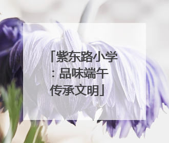 紫东路小学：品味端午 传承文明