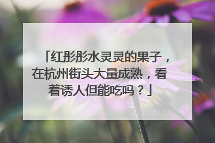 红彤彤水灵灵的果子，在杭州街头大量成熟，看着诱人但能吃吗？