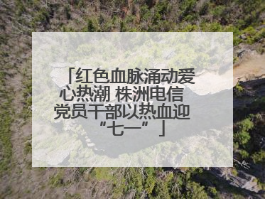 红色血脉涌动爱心热潮 株洲电信党员干部以热血迎“七一”
