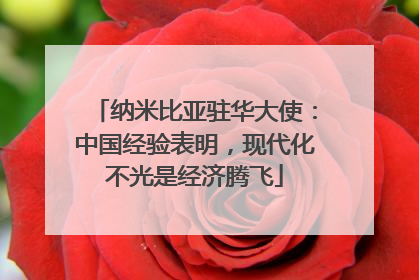 纳米比亚驻华大使：中国经验表明，现代化不光是经济腾飞