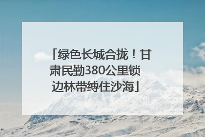 绿色长城合拢！甘肃民勤380公里锁边林带缚住沙海
