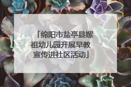 绵阳市盐亭县嫘祖幼儿园开展早教宣传进社区活动
