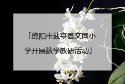 绵阳市盐亭县文同小学开展数学教研活动