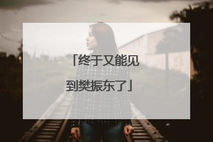终于又能见到樊振东了