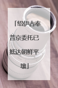绍伊古奉普京委托已抵达朝鲜平壤