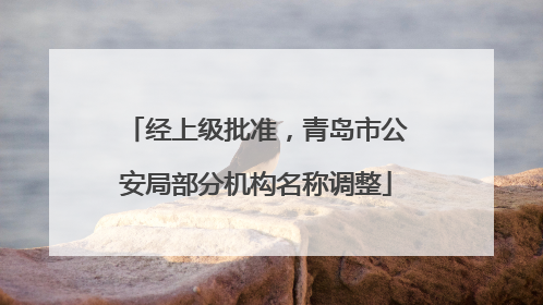 经上级批准，青岛市公安局部分机构名称调整