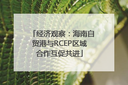 经济观察：海南自贸港与RCEP区域合作互促共进