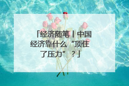 经济随笔丨中国经济靠什么“顶住了压力”？