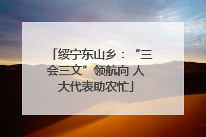 绥宁东山乡：“三会三文”领航向 人大代表助农忙