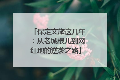 保定文旅这几年：从老城根儿到网红地的逆袭之路