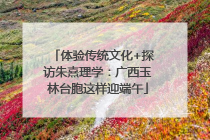 体验传统文化+探访朱熹理学：广西玉林台胞这样迎端午
