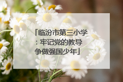 临汾市第三小学：牢记党的教导 争做强国少年