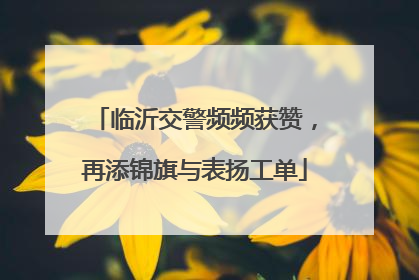 临沂交警频频获赞，再添锦旗与表扬工单